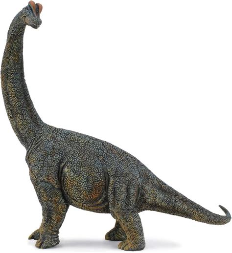 Buy CollectA Brachiosaurus Deluxe Figure - Global Store