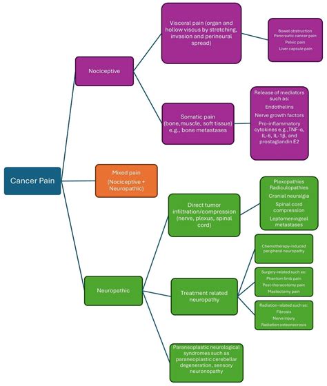 Cancer Pain Is Not One-Size-Fits-All: Evolving from Tradition to Precision