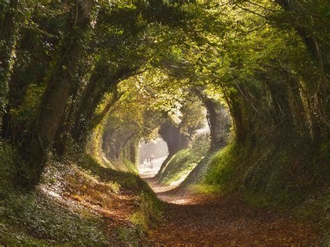 Secret Paths: Sunken Lanes Of Vermont's Northeast Kingdom | TouristSecrets