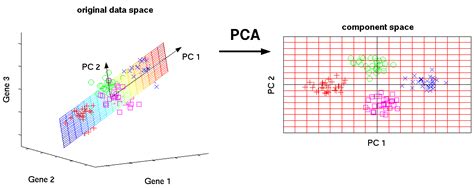 PCA Analysis Python 的图像结果