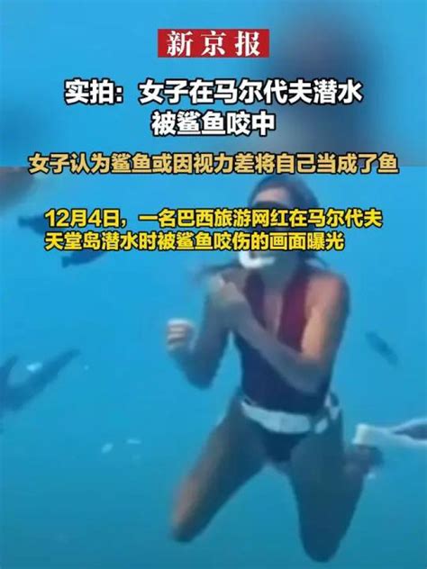 女子潜水被鲨鱼咬伤后遭网暴最新素材