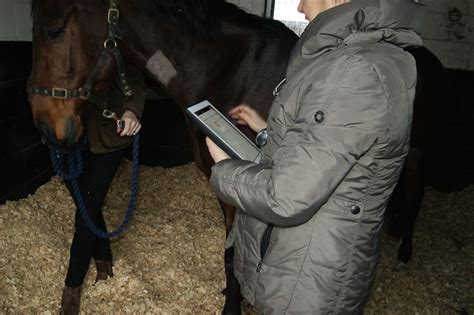 Eclipse Veterinary Software