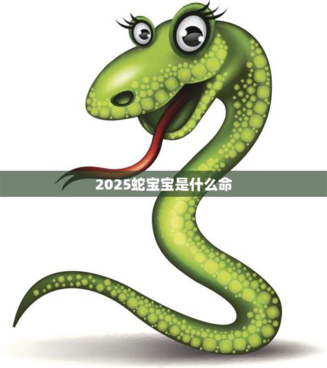 2013蛇年字体_素材中国sccnn.com