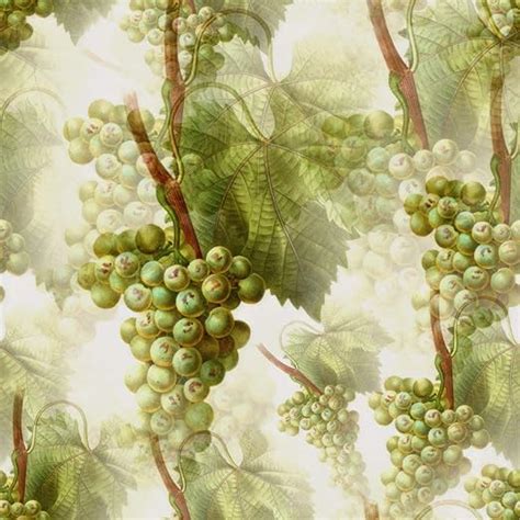AS Interior Theme Natural Painting Style Grapes Wall Paper Peel and ...
