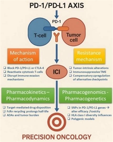 Future Pharmacology | An Open Access Journal from MDPI