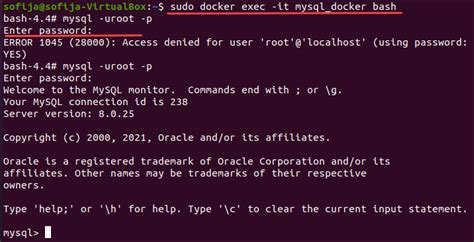 جی بلاگ | نحوه راه اندازی و پیکربندی MySQL Docker Container