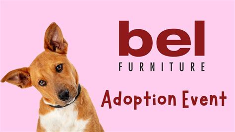 Bel Furniture 2 Day Adoption Event?, 5858 S Padre Island Dr, Corpus ...