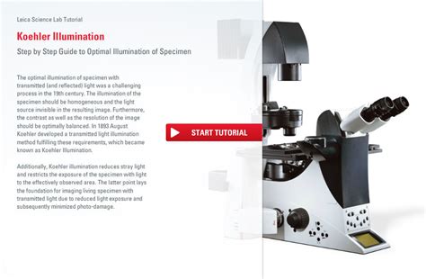 Image result for Microscope Alignment
