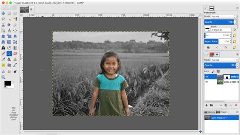 Image result for GIMP Layer Masks