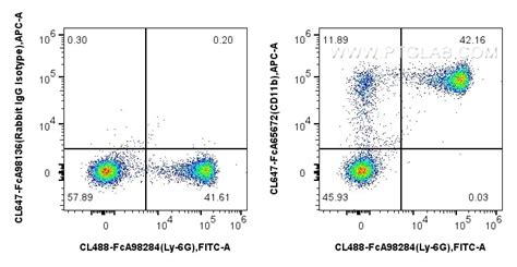 CD11b antibody (CL647-FcA65672) | Proteintech
