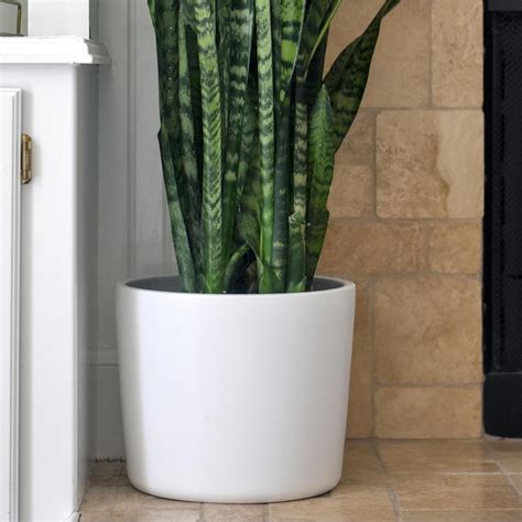 Willowy Large Matte White Ceramic Planter - 12 Inch Pots for Plants ...