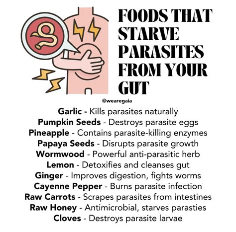 Image result for How Does Pooping Work