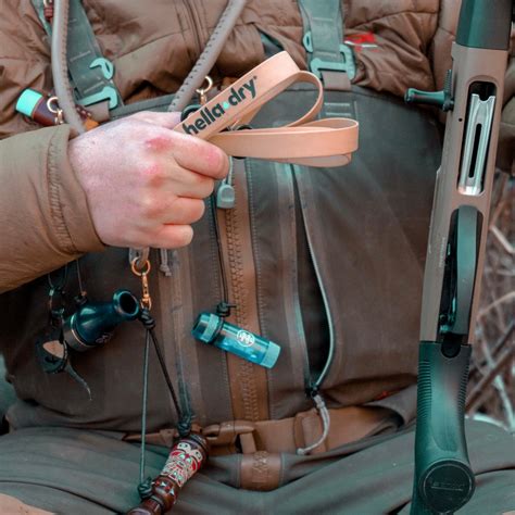 Image result for Lesson 12 The Draw Loop David Decker