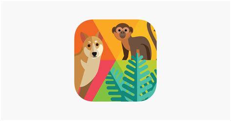 Image result for Classify