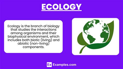 Ecology Examples 的图像结果
