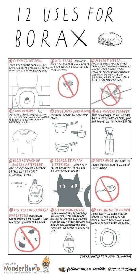 12 Household Uses for Borax « The Secret Yumiverse :: WonderHowTo