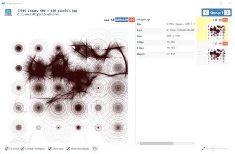 Duplicate File Cleaner 的图像结果
