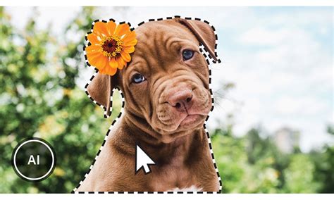 Rezultat imagine pentru Adobe Photoshop Elements Tutorials