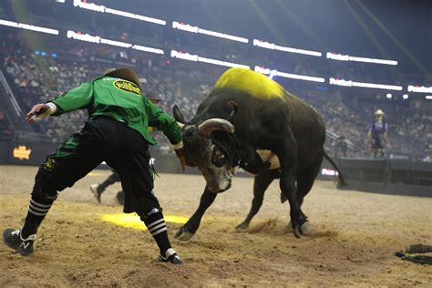 PBR Teams Championship Minimalist Background Minimalist Aesthetic