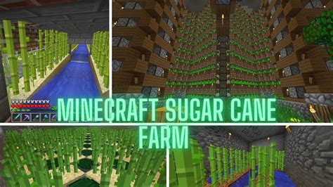 Sugar Cane Farm Minecraft Java 的图像结果