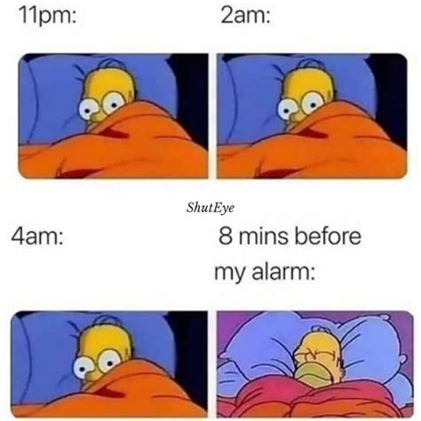 50 of The Funniest Can't Sleep Memes Ever - ShutEye