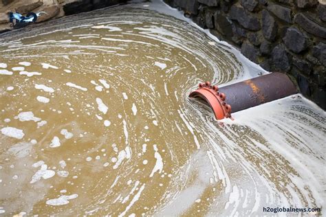 What Is Stagnant Water? Dangers and How to Treat It | H2O