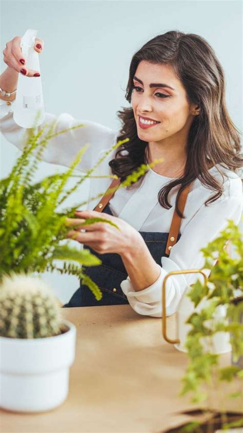 Image result for How to Reduce Humidity Inside Home