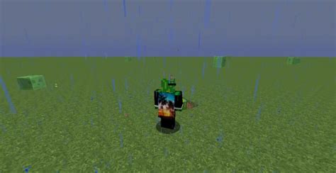 Make you a custom minecraft java cape by Creepercactus | Fiverr