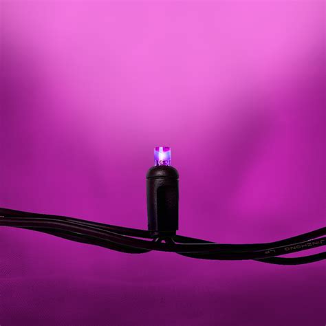 Image result for Pale Pink LED String Lights