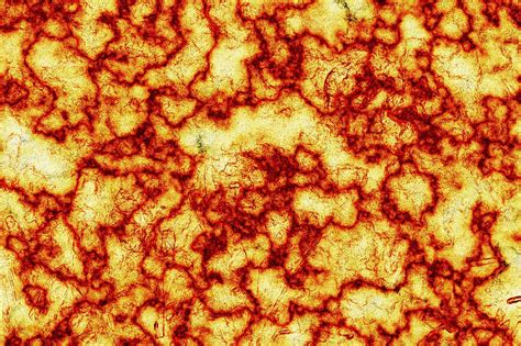 Image result for Toon Fire Texture with Transparency