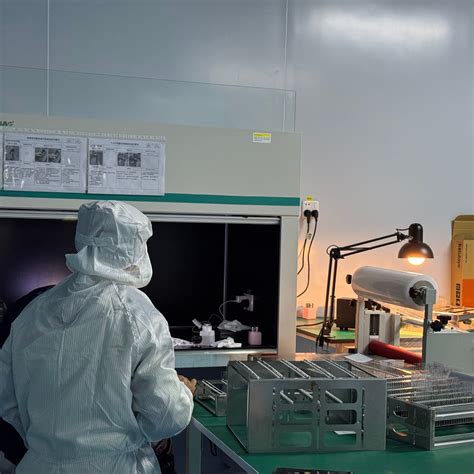 Borosilicate Glass vs Glass: What’s the Real Difference?