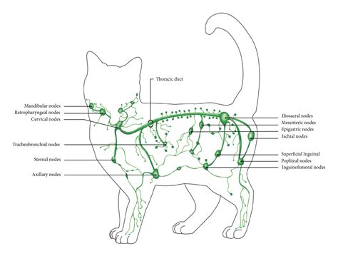 Image result for Porta Cipher Example