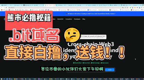 WEB3.0域名不要钱？这是真的吗？.bit来给你答案。（切记一定要全数字且填写DAO成员邀请码） - YouTube