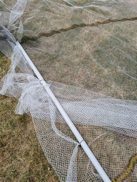 Image result for How to Bilde a Tree Nete