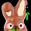 Image result for Animated Bunny Face