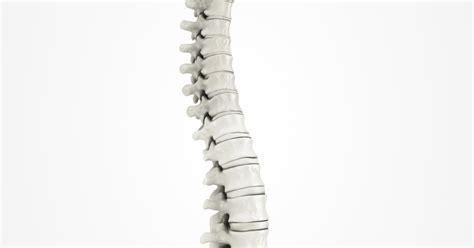 Thoracic Spine Degeneration Symptoms | LIVESTRONG.COM