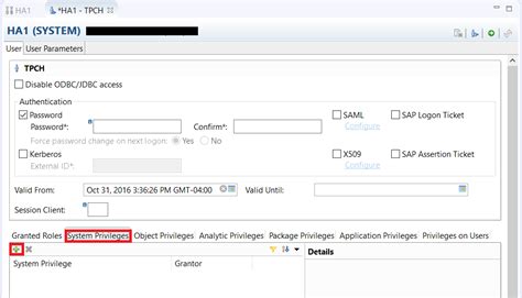 Create a New User and Assign Permissions | SAP Tutorials