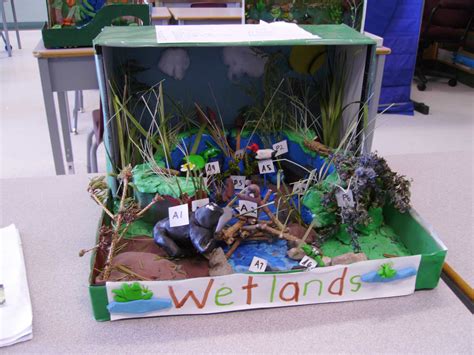 shoebox diorama ideas for kids - Google Search | Ecosystems projects, Wetland, Habitats projects