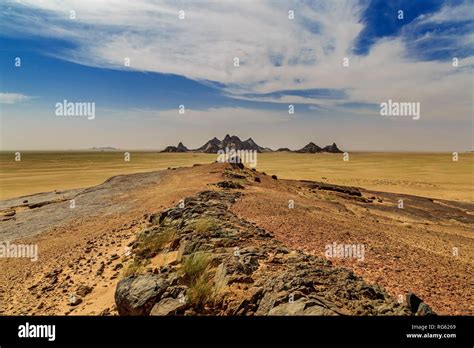 Saudi Arabia 的图像结果