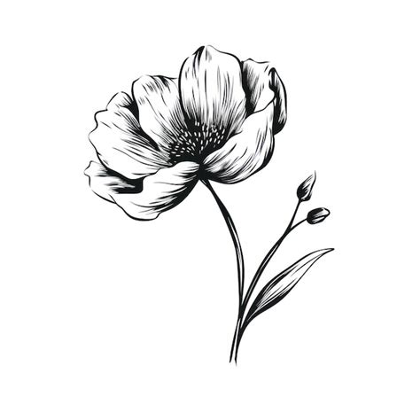 Flower drawing sketch plant | Premium AI-generated image