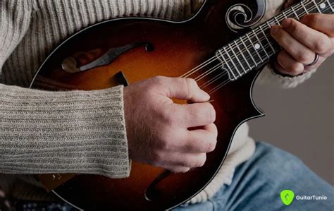 Image result for Mandolin Tuning Notes