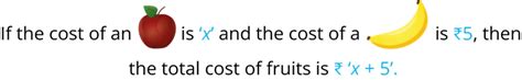 True or False — task. Mathematics State Board, Class 6.
