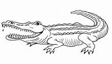 kostenlose malvorlagen krokodil neu ausmalbilder krokodile zum ausdrucken top kostenlos kostenlose malvorlagen krokodil neu ausmalbilder krokodile zum ausdrucken top kostenlos