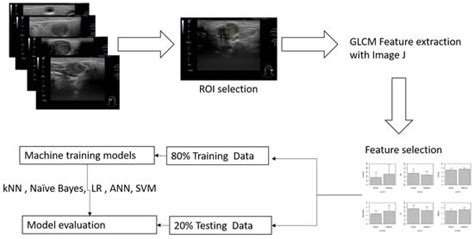 Machine Learning on Ultrasound Texture Analysis Data for Characterizing ...