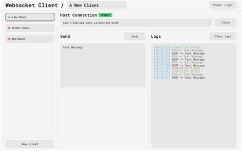 C# WebSocket Client 的图像结果