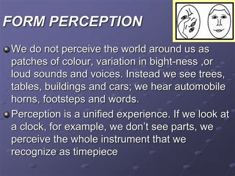 Perception Tutorial 的图像结果