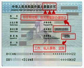 出入境部门拒绝“双国籍”华人签证？势在必行！ - 哔哩哔哩