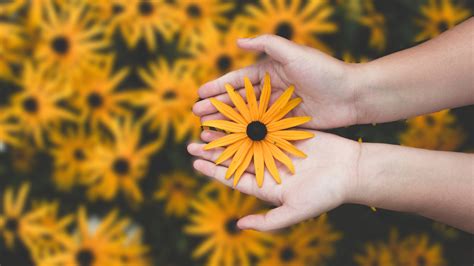 How to Manipulate Depth of Field in Seconds | Learn BeFunky