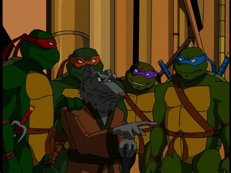 Teenage Mutant Ninja Turtles (2003): The Complete Series - Remastered ...
