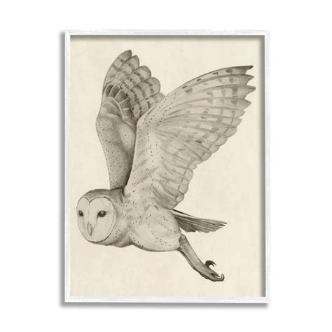 Flying Barn Owl Drawing